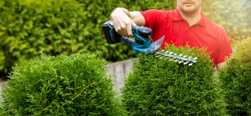 Garden Hedging Service