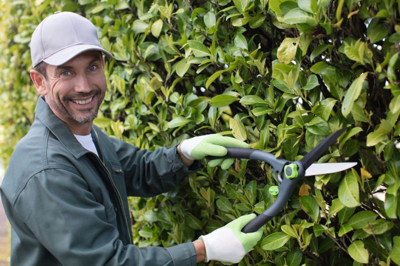 Garden Hedging