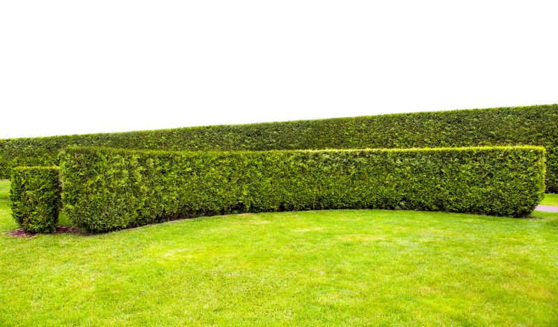 Garden Hedging