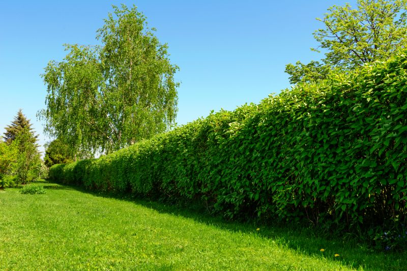 Diverse Hedge Options