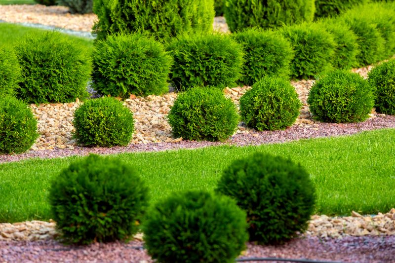 Decorative Bushes