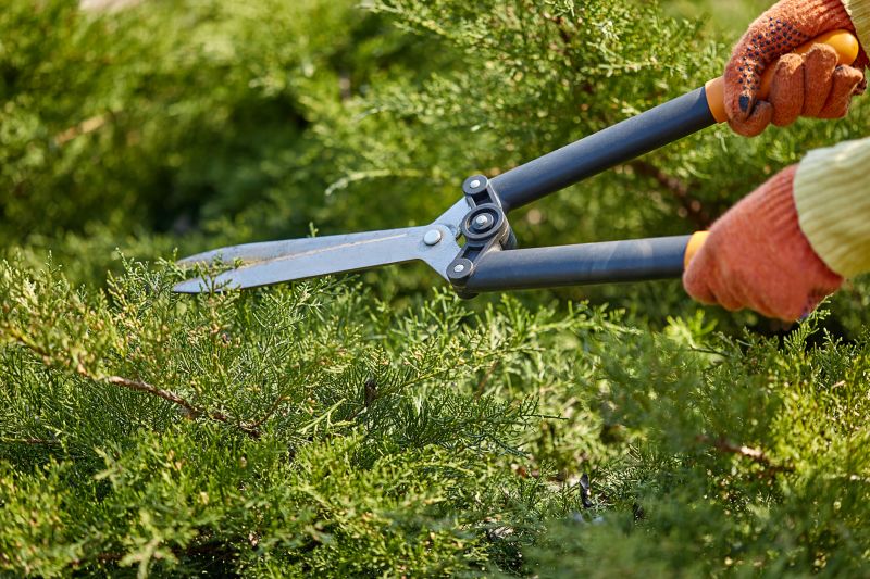 Shrub Pruning Tools