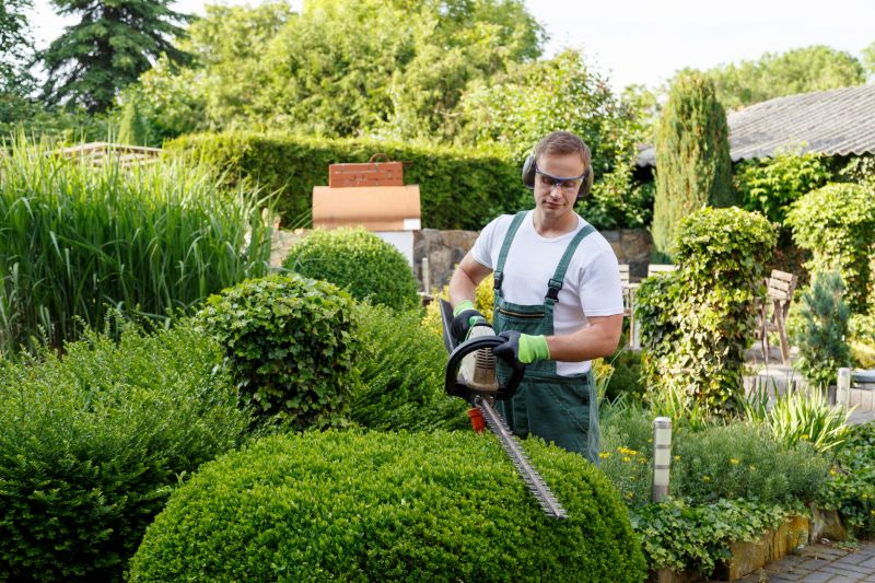 Professional Garden Service